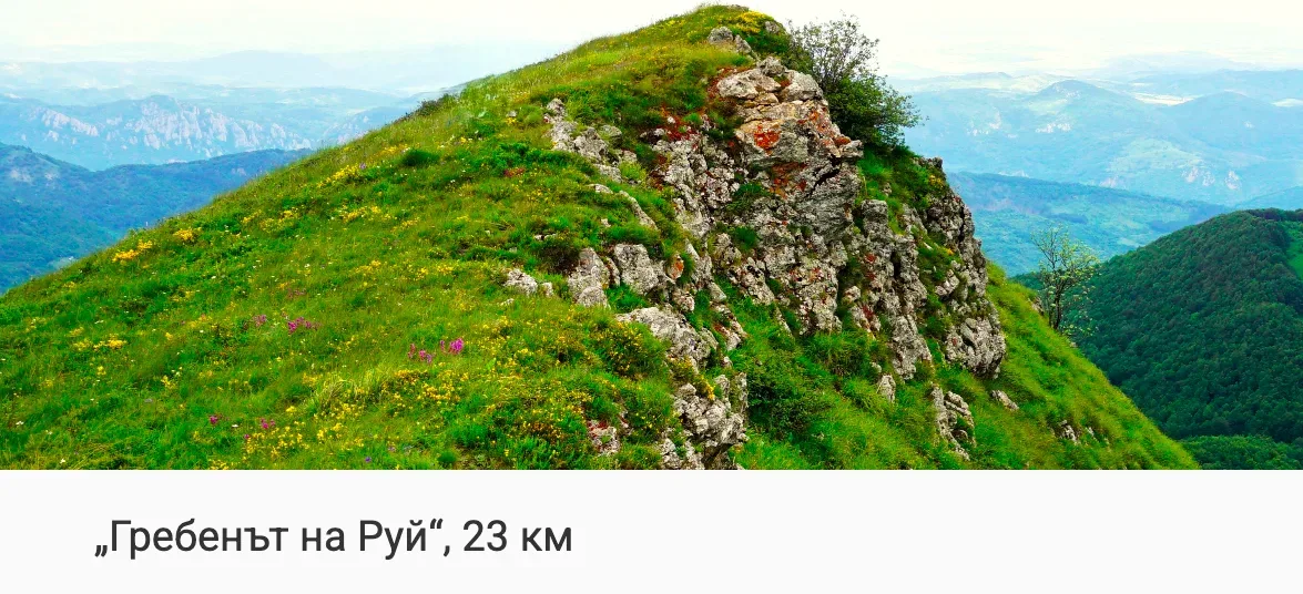 Трън ултра рън 23 км с 1300 D+